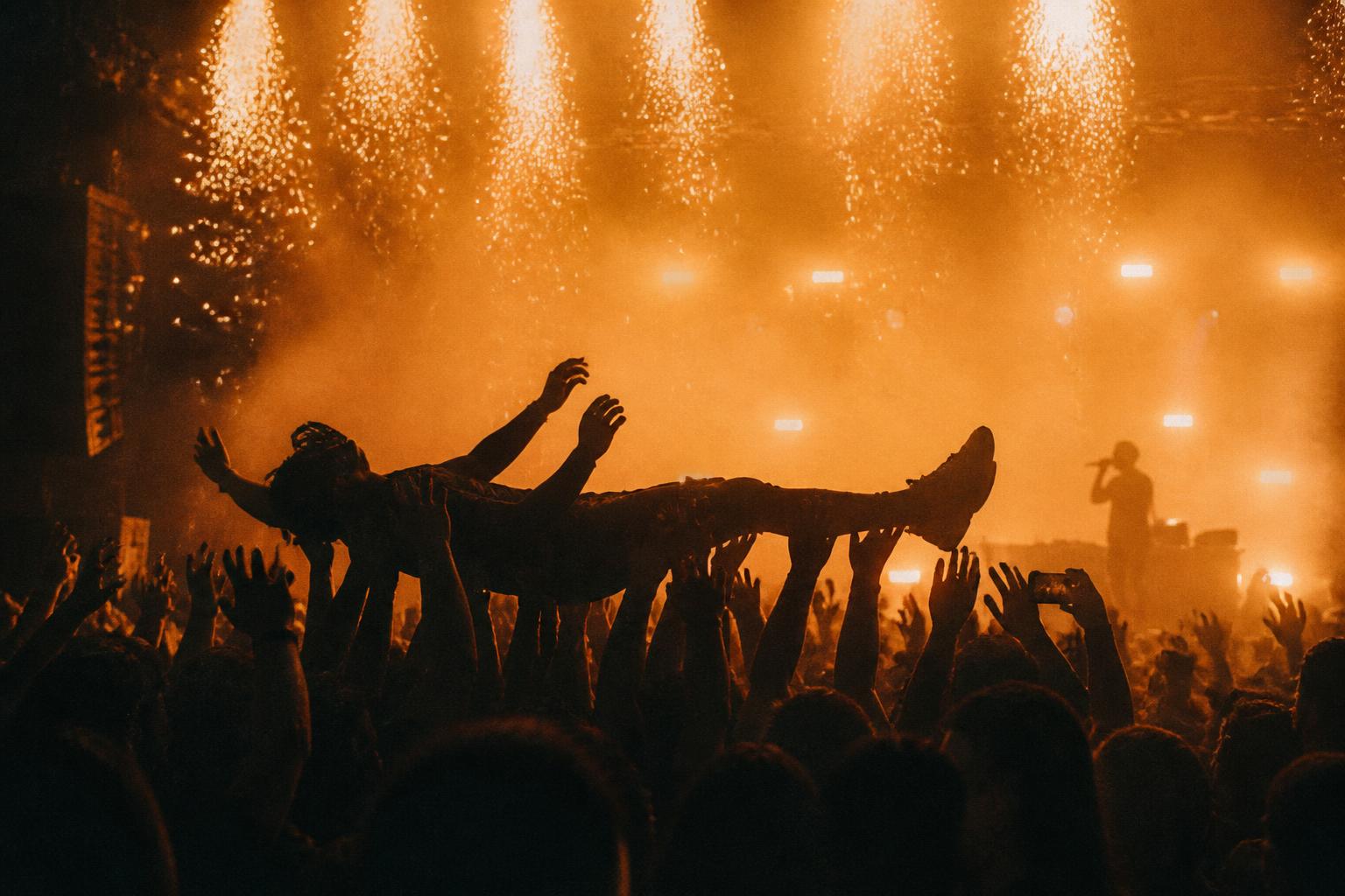 CROWD SURF